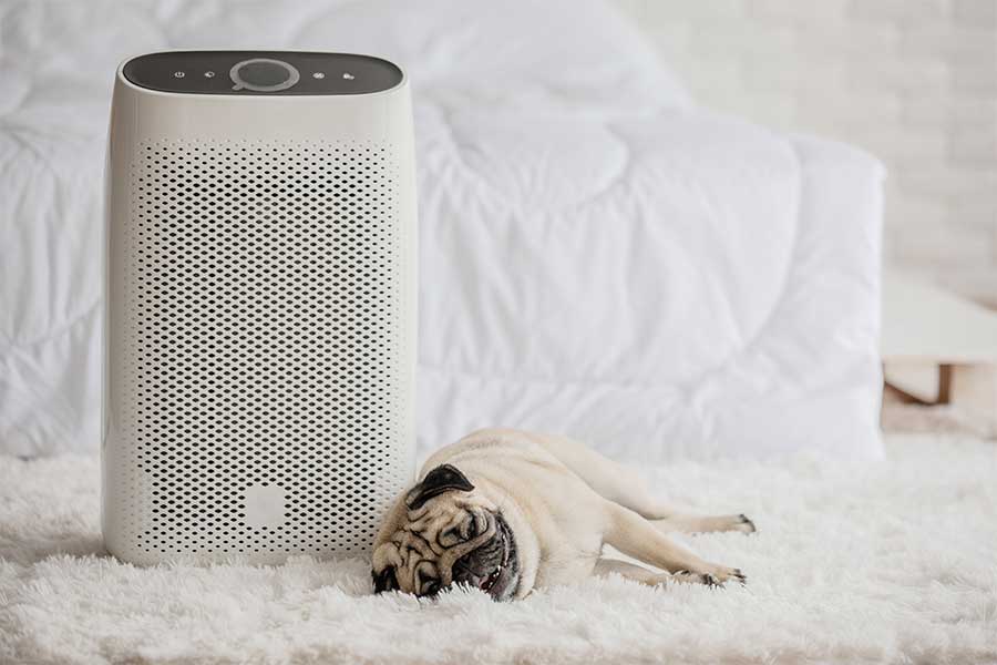 Whole House Air Purifier Installation in Wildwood, MO