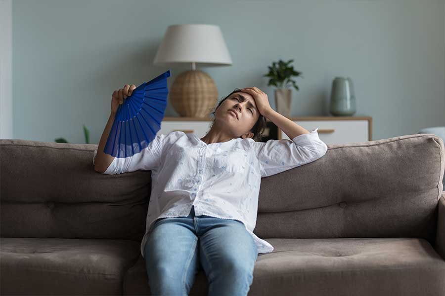 Dehumidifier Services in Wildwood, MO